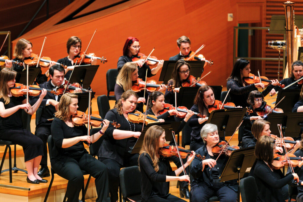 An orchestra's violin section performs.